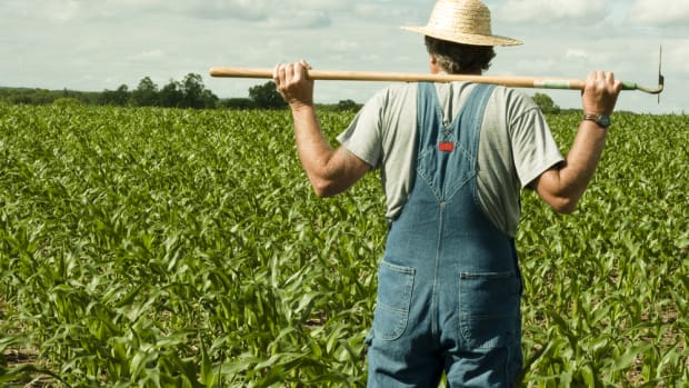 Mass Exodus Expected from Leading Organic Trade Group Over Controversial GMO Legislation