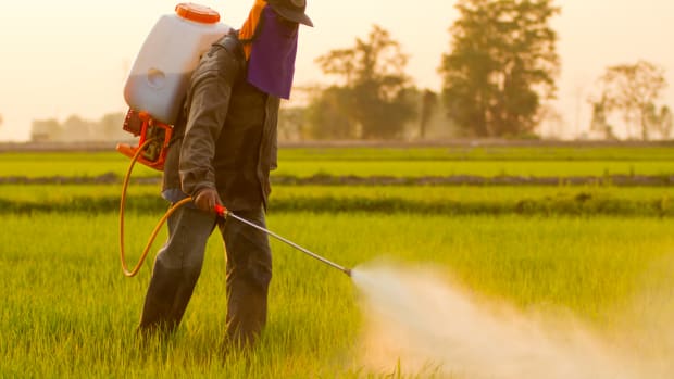 EPA Proposes to Ban Use of Chlorpyrifos in Agriculture