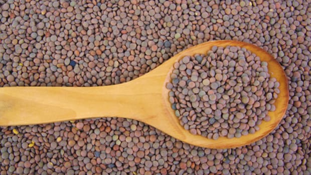 The Sci-Fi Food of the Future is . . . Organic Lentils?