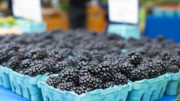 blackberries-ccflcr-wink