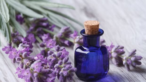 10 Life-Changing Lavender Oil Uses You Need to Know