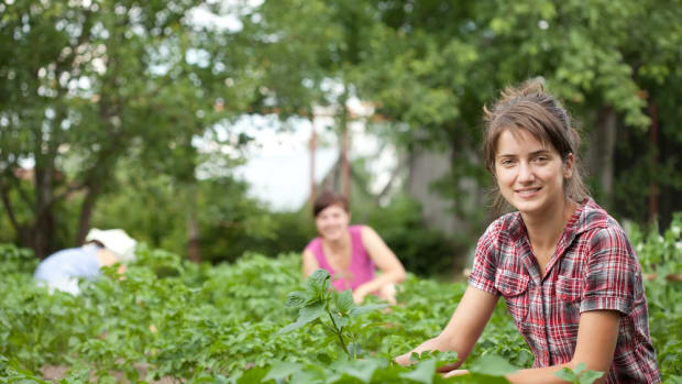 The New Faces of the American Family Farm: Sisters