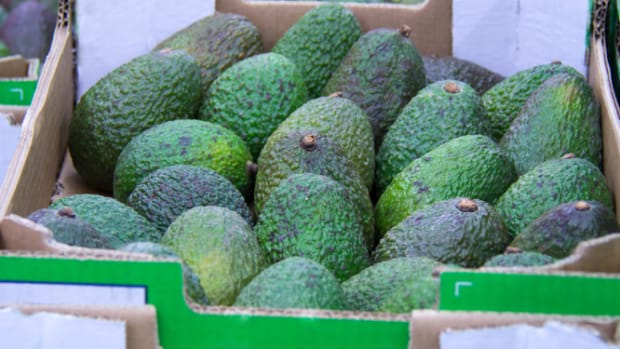 Are We Eating Too Many Avocados? Avocado Farmers Can't Keep Up