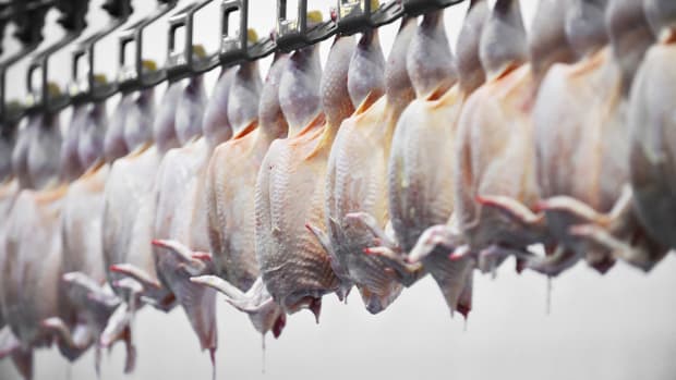 USDA Denies Petition for Unlimited Chicken Slaughter Line Speed