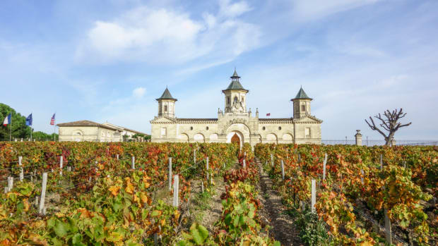 Bordeaux wine country