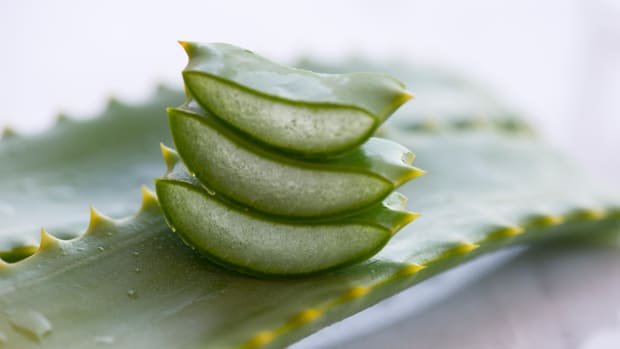 5 Reasons You Need to Use Aloe Vera Gel on Your Skin