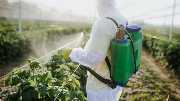 New Lawsuit Claims Farmers Were Forced to Use a Dangerous Herbicide