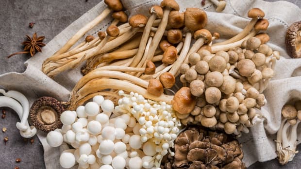 study: mushrooms might reduce brain decline
