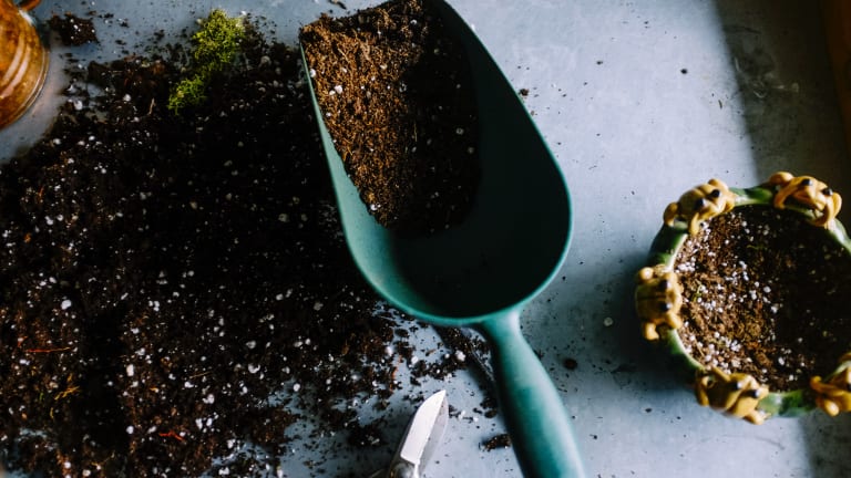 How to Improve Your Garden Soil Naturally for the Happiest Garden on the Block