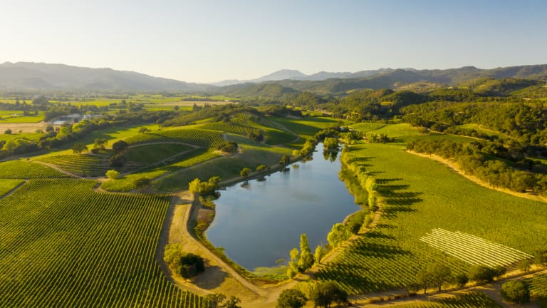Can Luxury and Sustainability Coexist? These Napa Wineries Prove They Can—and Must