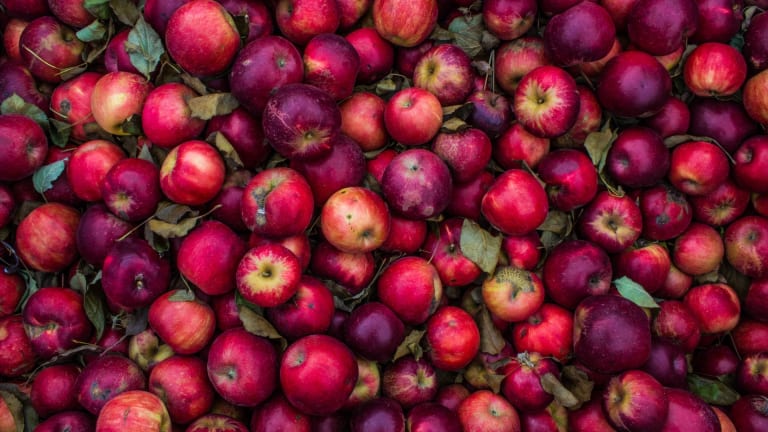 Dietitian Explains Health Benefits of Apple Cider Vinegar