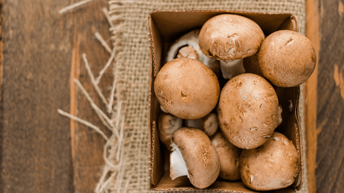 How To Cook Mushrooms So Perfectly They Melt In Your Mouth Organic Authority