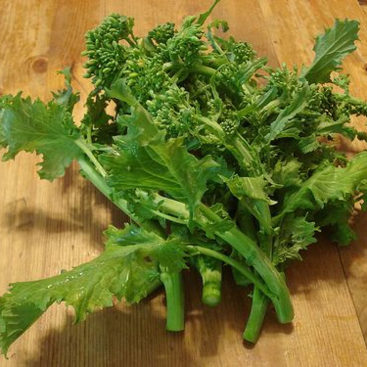 Broccoli Rabe Organic Authority,High Efficiency Washer And Dryer