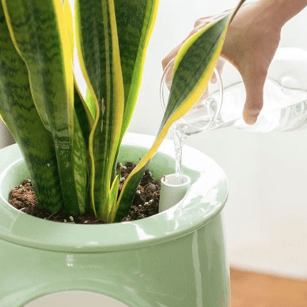 This Pretty Natural Air Purifier Is Powered By Plants Organic Authority