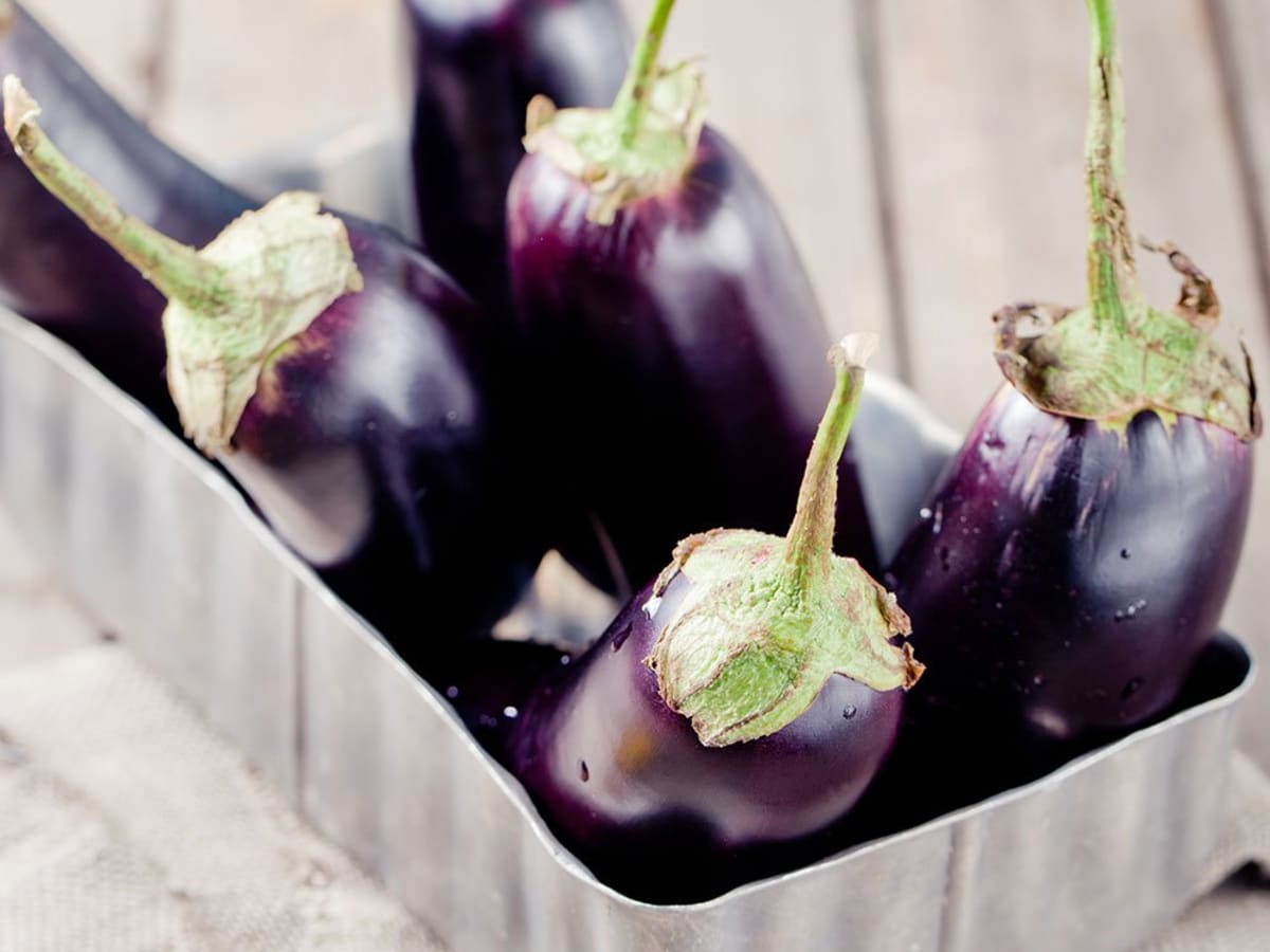 Cooking Eggplant 4 Ways Do It Right And Do It Deliciously Organic Authority