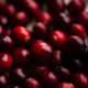 The first English settlers to the new world called this bright berry a "craneberry," due to its flowers that resemble the head of a crane. Native Americans already knew about the berry's health-promoting properties and often mixed it with pemmican, a dried meat mix, to preserve it for eating during the long New England winters. Cranberry sauce gained in popularity after General Ulysses S. Grant ordered it served to his troops during the siege of Petersburg, Virginia during the Civil War, and in 1912 it became available commercially under the name "Ocean Spray." If you listen carefully at the end of "Strawberry Fields Forever," you can hear John Lennon repeating the phrase, "cranberry sauce."Tinkering for Thanksgiving? Try these recipes!7 Unconventional Cranberry Ideas + A Sauce to Die For