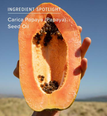 true-botanicals-papaya-seed-oil_544x
