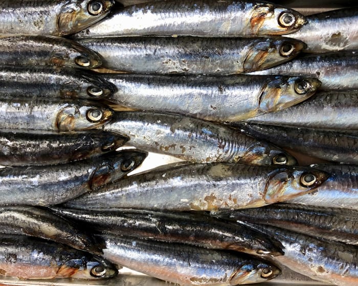 anchovies stacked may improve gut health