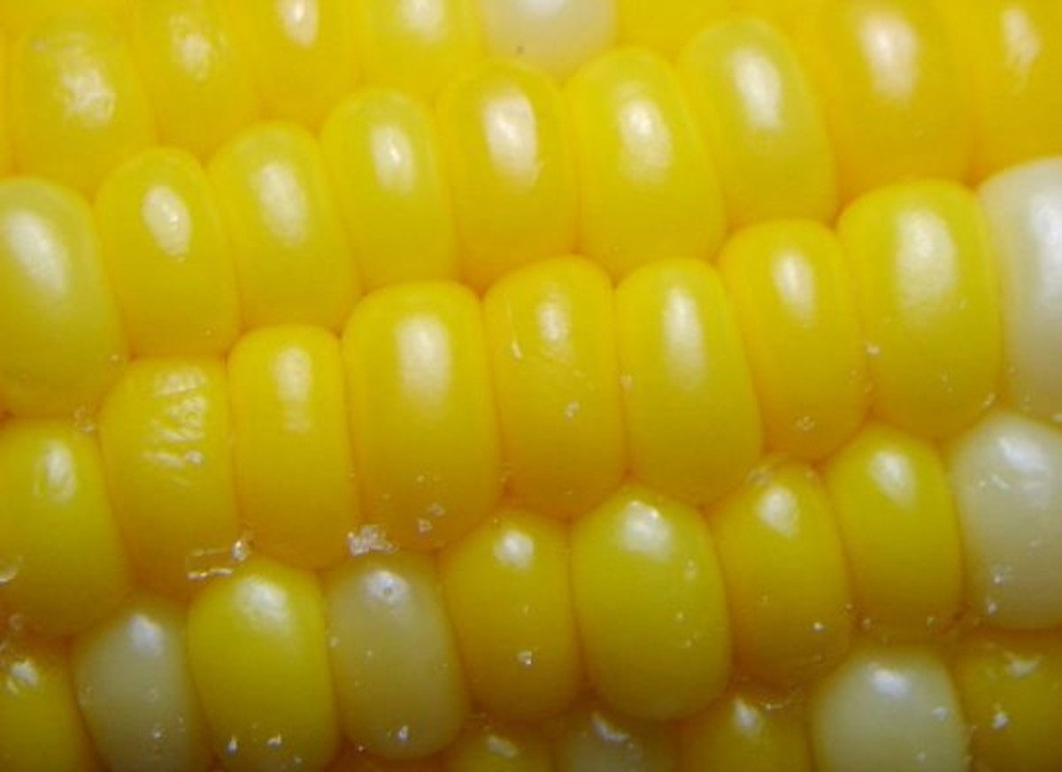 corn-ccflcr-chidorian1