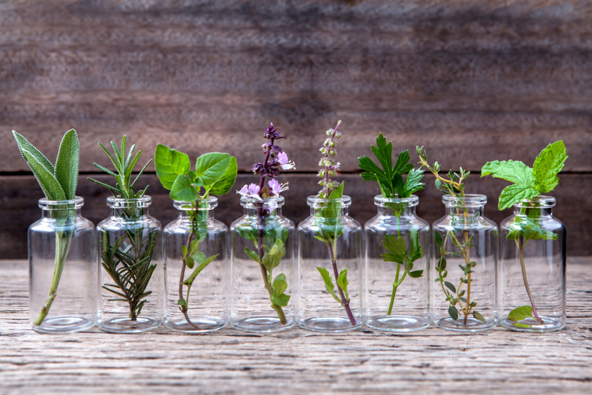 Everything You Need to Know About How to Use Essential Oils for Allergies
