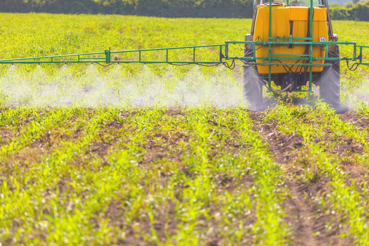 FDA Data Finds High Levels of Glyphosate in All Foods Tested 'Except Broccoli'