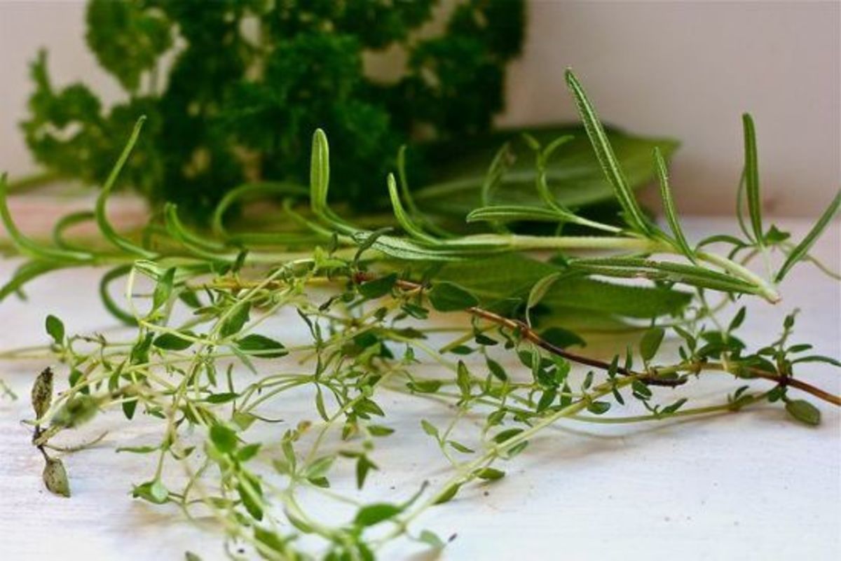 4-Ways-to-Use-Herb-Sprigs-in-The-Kitchen-Dont-Throw-Them-Away_PHOTO-REDO_ccflcr_katerha_11.4.12