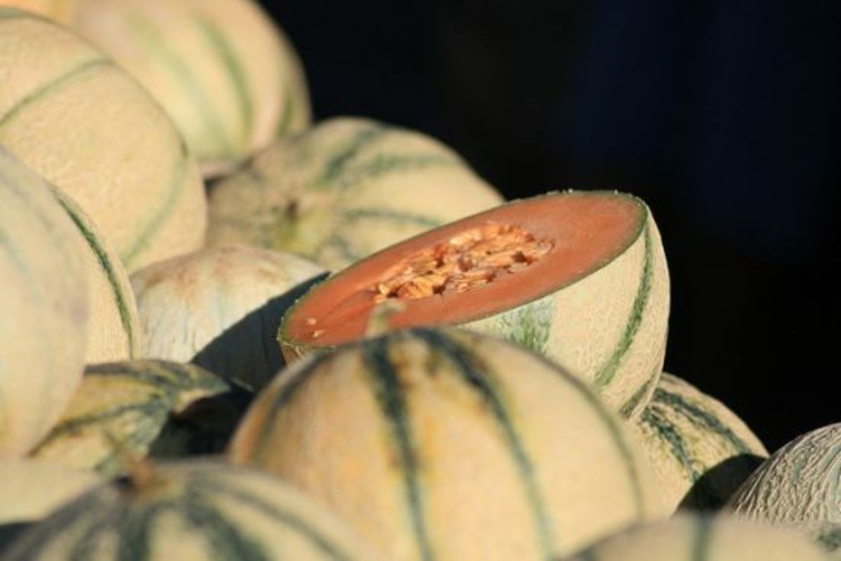 melons-ccflcr-jeanlouiszimmerman