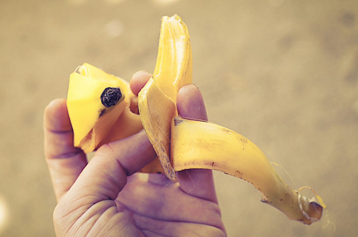 Banana peels are incredably useful food scraps.