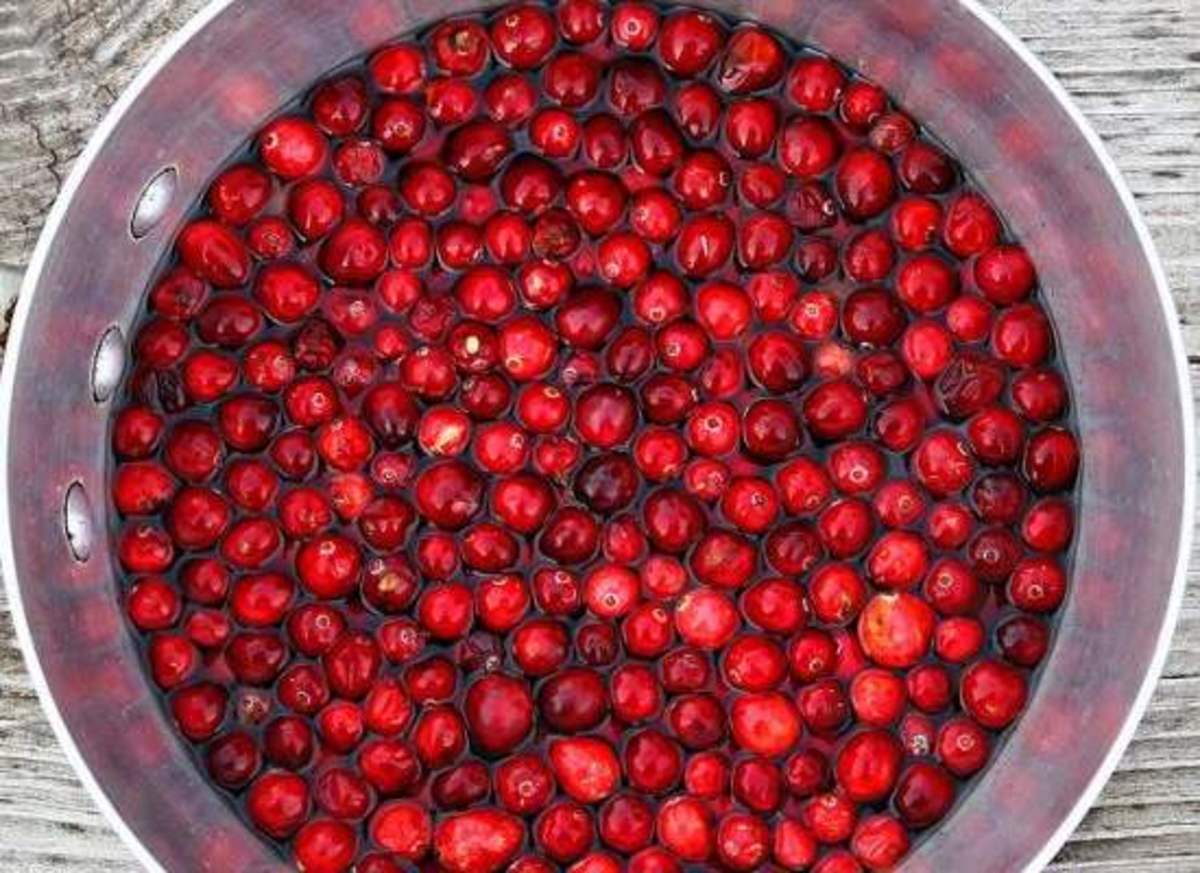 Cranberries-ccflcr-muffet