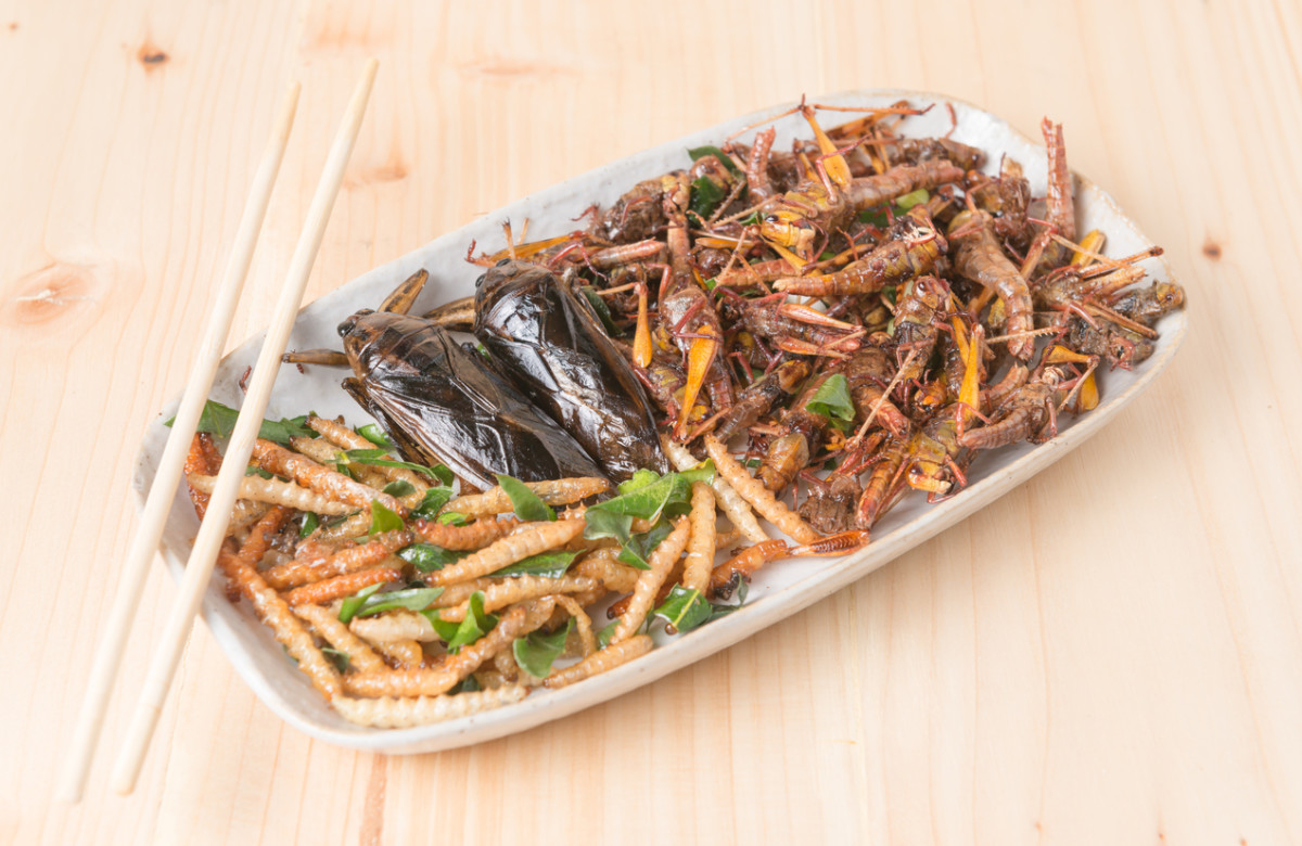 Bug Appetit! 7 Scary-Good Bug Dishes to Get Past Your Fear of Eating Insects