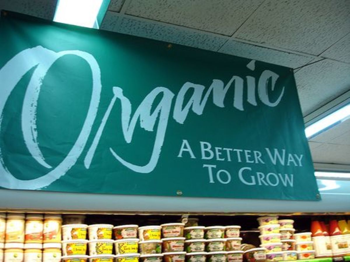 organic-food