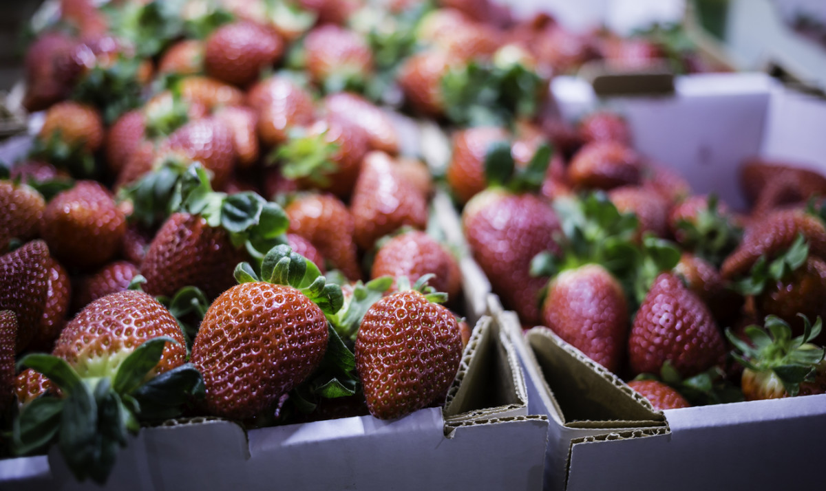 Strawberries Top EWG's 'Dirty Dozen' List, Spinach Jumps to Second Spot