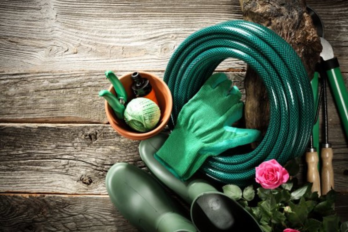 10 Eco-Friendly Garden Tools You Know You Want