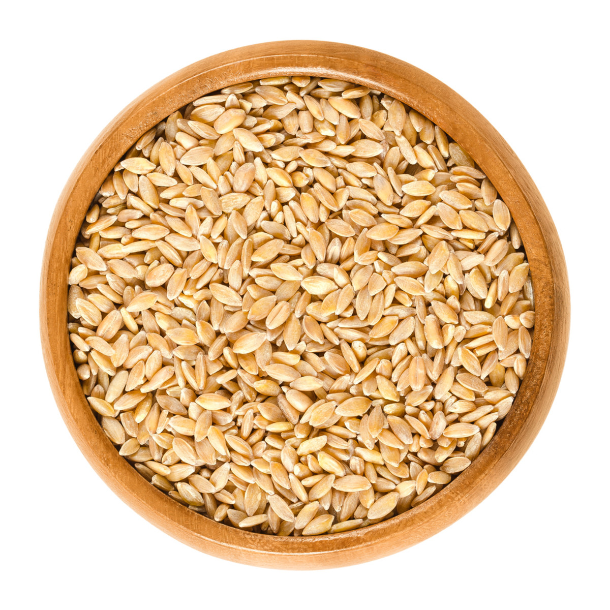 Einkorn wheat in wooden bowl, also called littlespelt. Dried grains. Triticum monococcum. One of the first domesticated and cultivated plants. Isolated macro food photo close up from above over white.