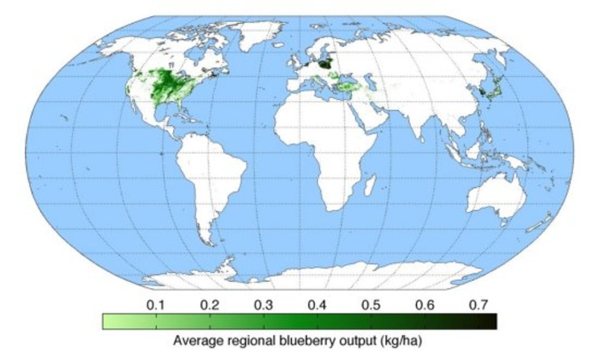 growing blueberries map