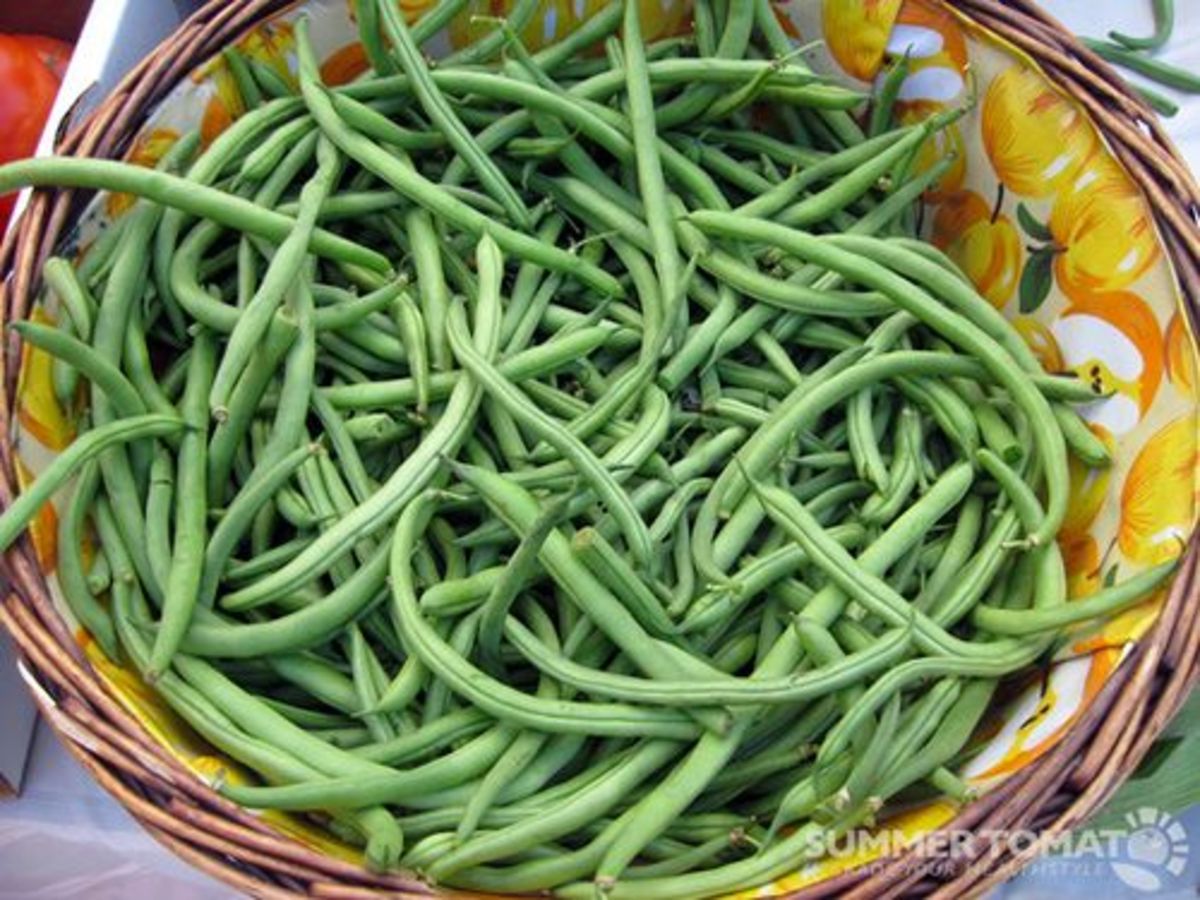 green-beans-ccflcr-summer-tomato