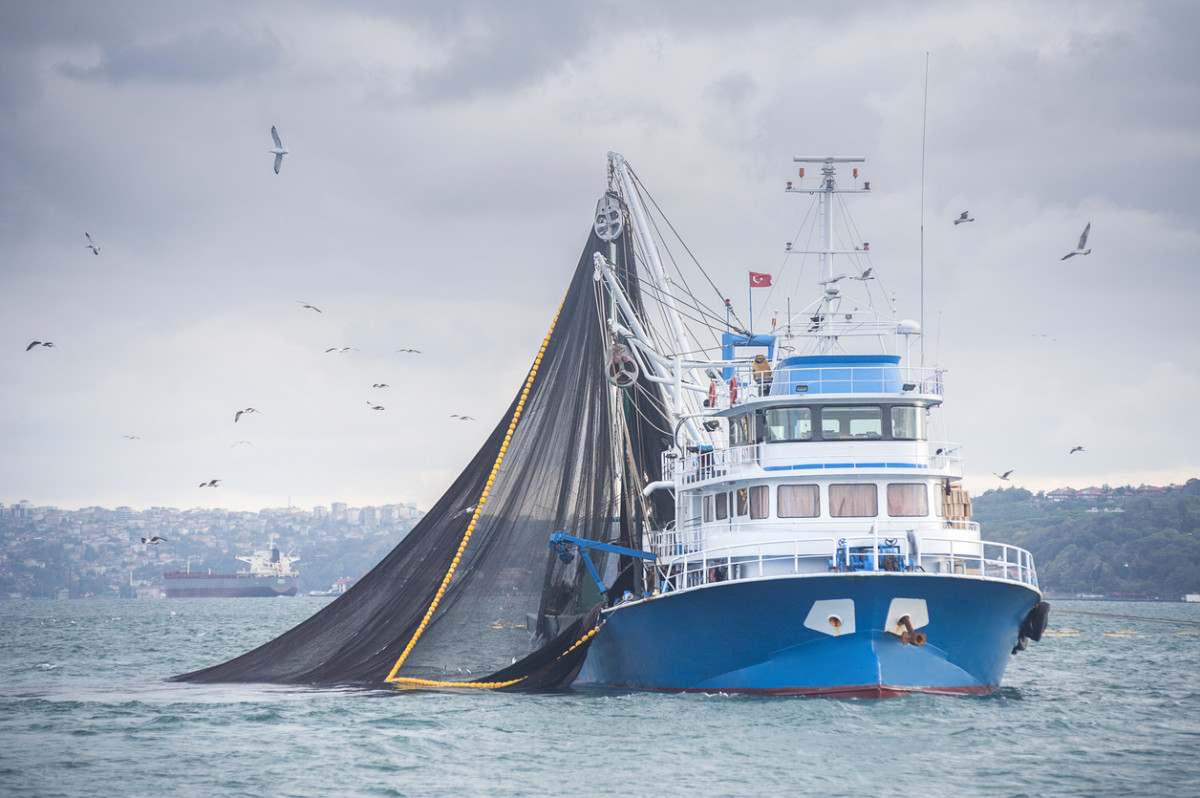 3 U.S. Senators Introduce Legislation to Ban Controversial Driftnet Fishing