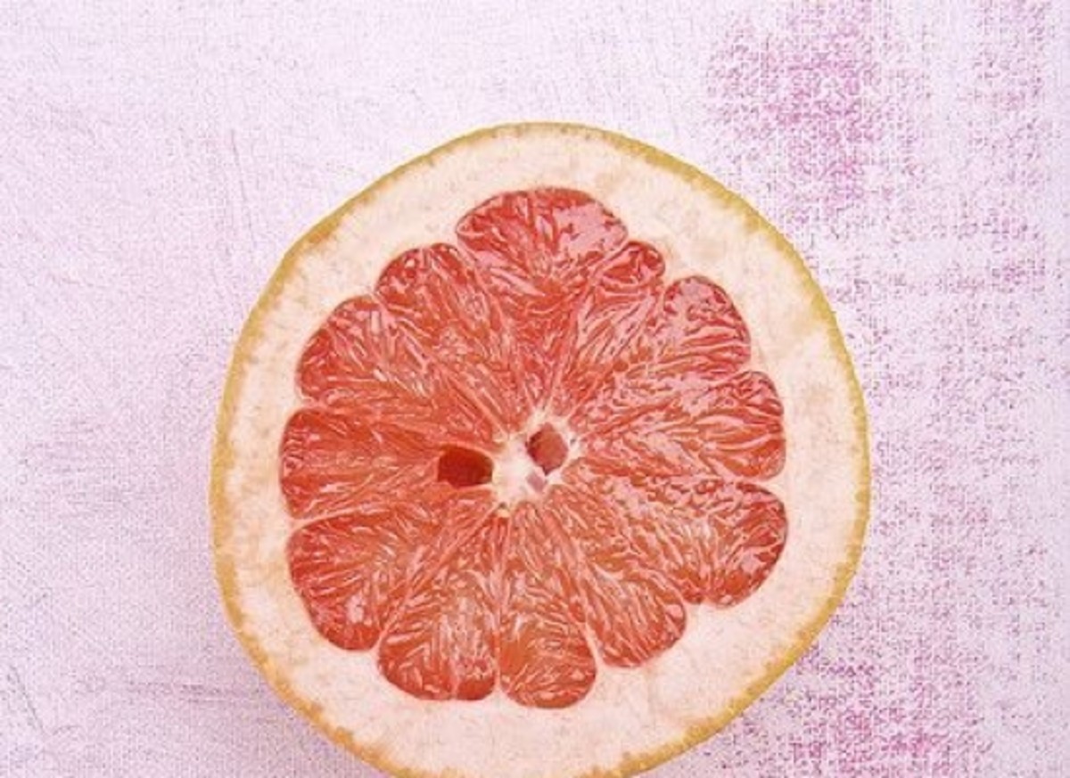 grapefruit-ccflcr-geishaboy500