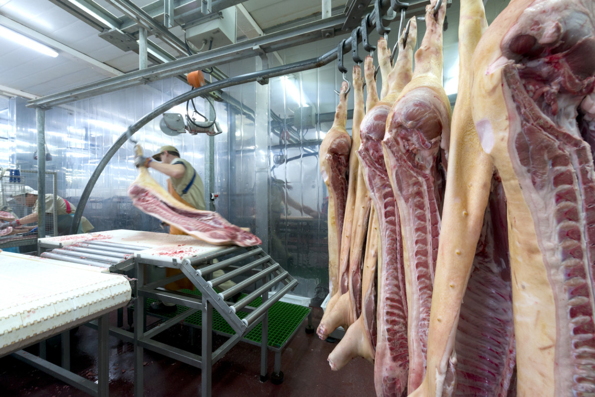 USDA Proposes cutting line speed restrictions for pork