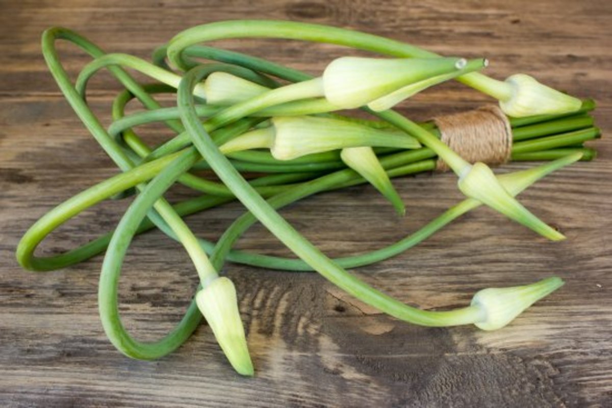 How to Grow Garlic in 3 Steps for Maximum Flavor (and Vampire Prevention!)