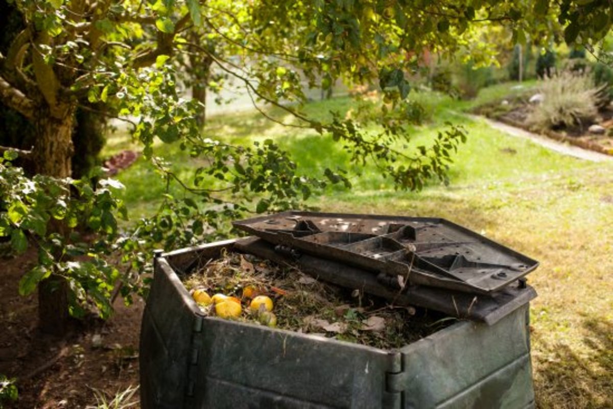 6 Tips on How to Avoid Compost Problems (BTW, You're Welcome)