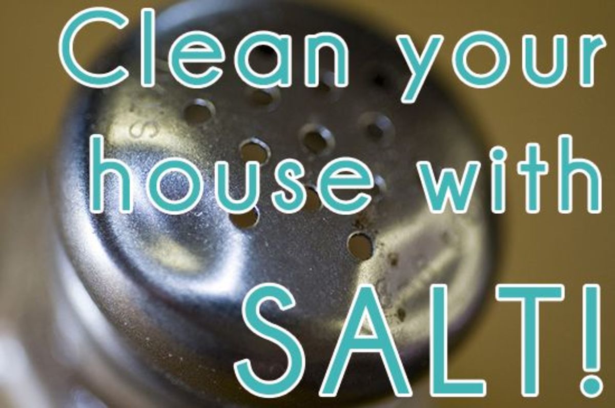 Image result for Cleaning with Salt