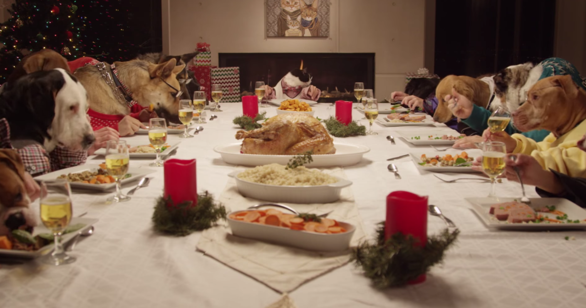 13 Dogs and 1 Cat Feasting is the Best Belated Christmas Present Ever [Video]