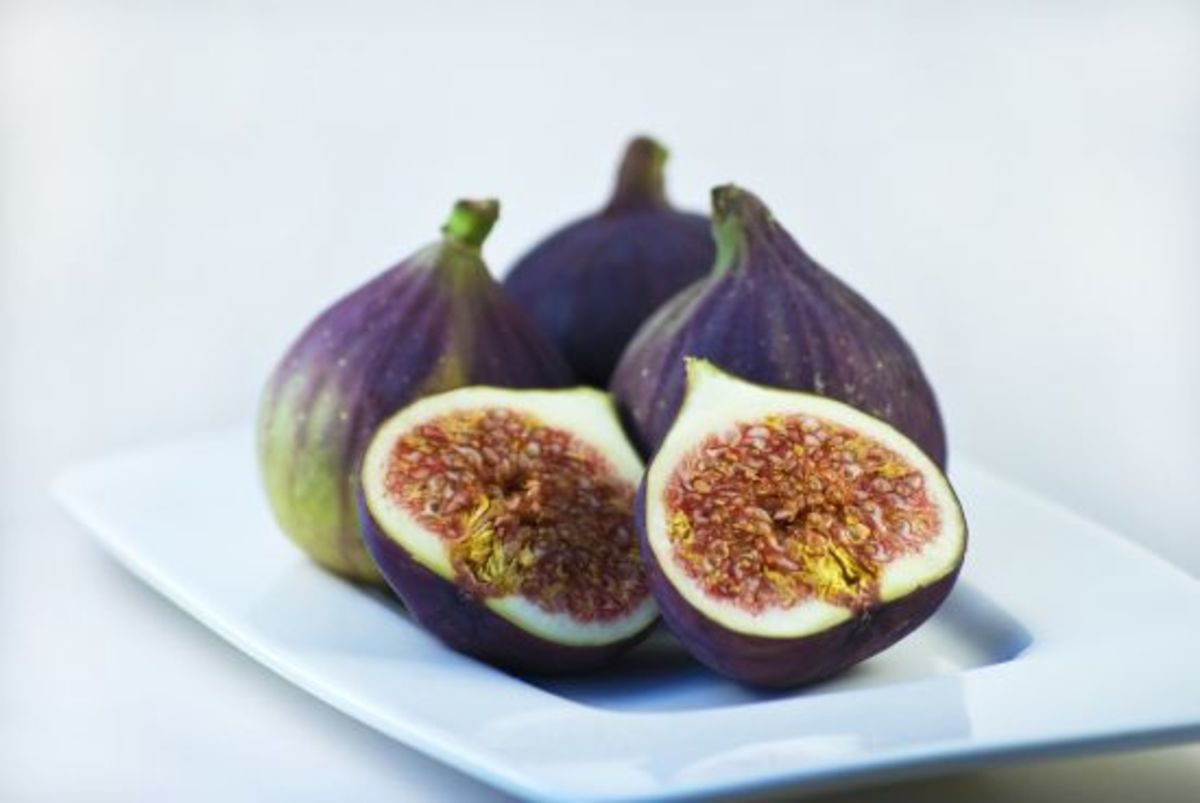 figs-ccflcr-rhinoneal