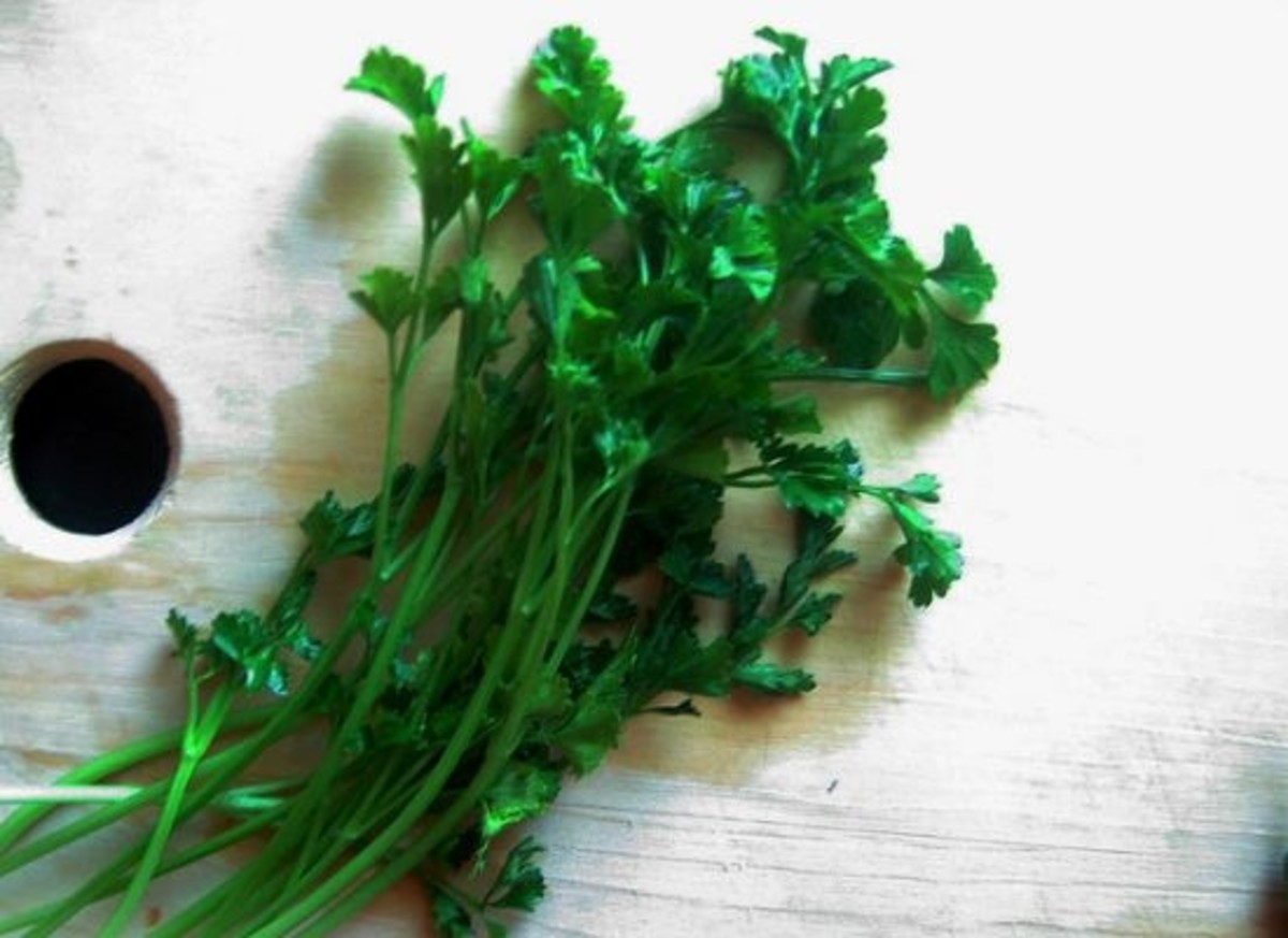 parsley-ccflcr-joylitas