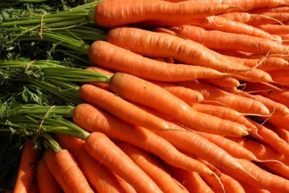 carrotssk