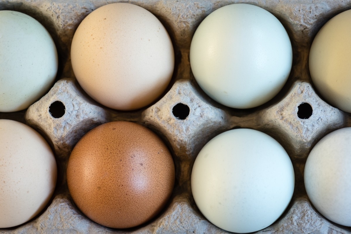 Kroger Just Made Cage-Free Eggs Even More Accessible