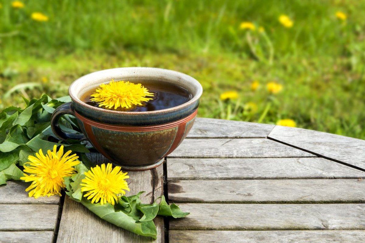 Why Dandelion Root Tea is the Hottest New Way to Start Your Day?