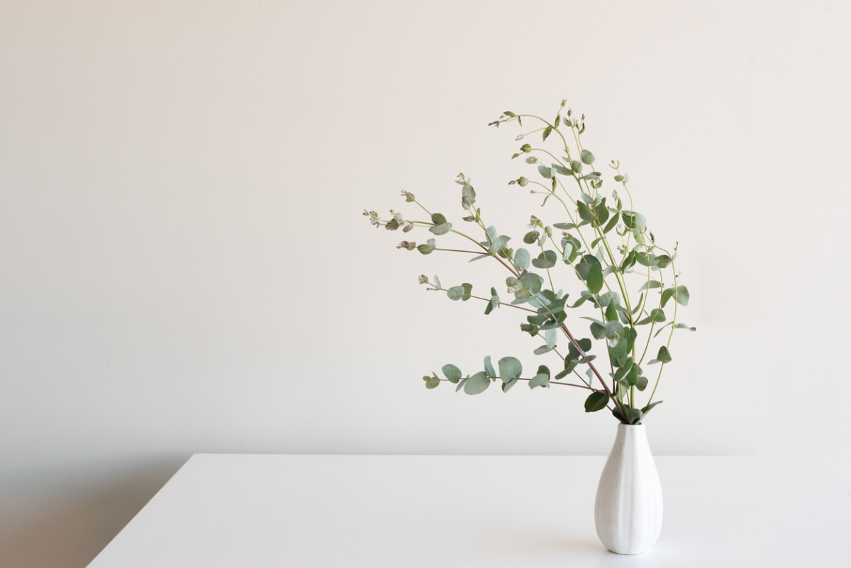 Eucalyptus leaves in small white vase on table against neutral background