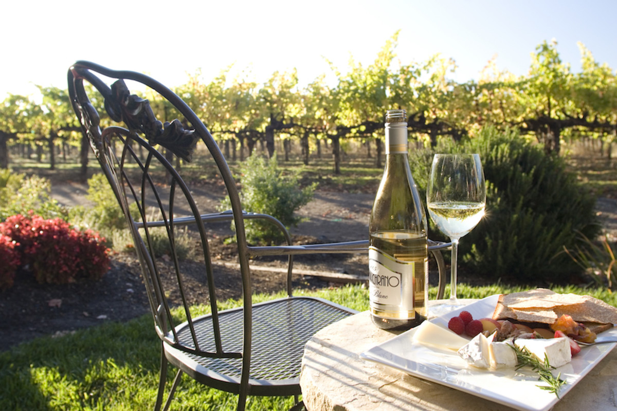 Where to drink sustainable wine in Dry Creek Valley